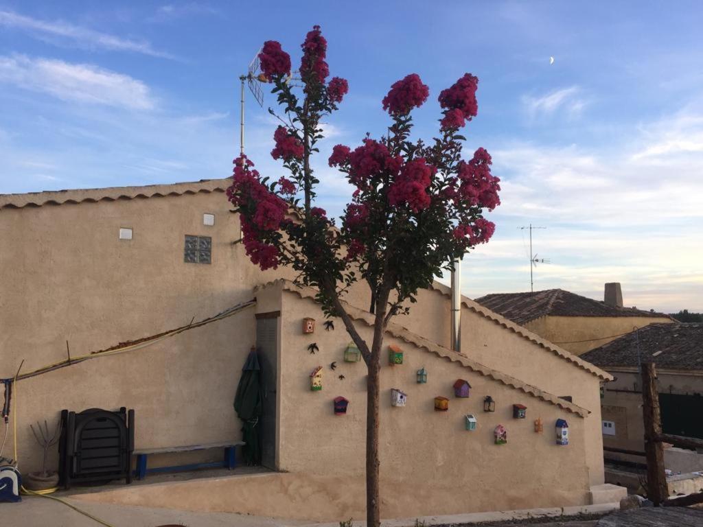 Casa Rural La Charolesa Aguilera Extérieur photo